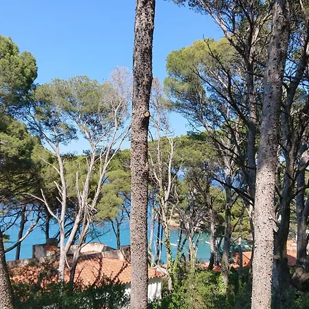 Sa Riera Begur, 200 M Walk To Sa Riera Daire Begur
